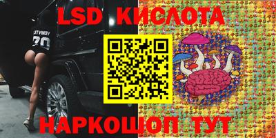2c-b Гусев