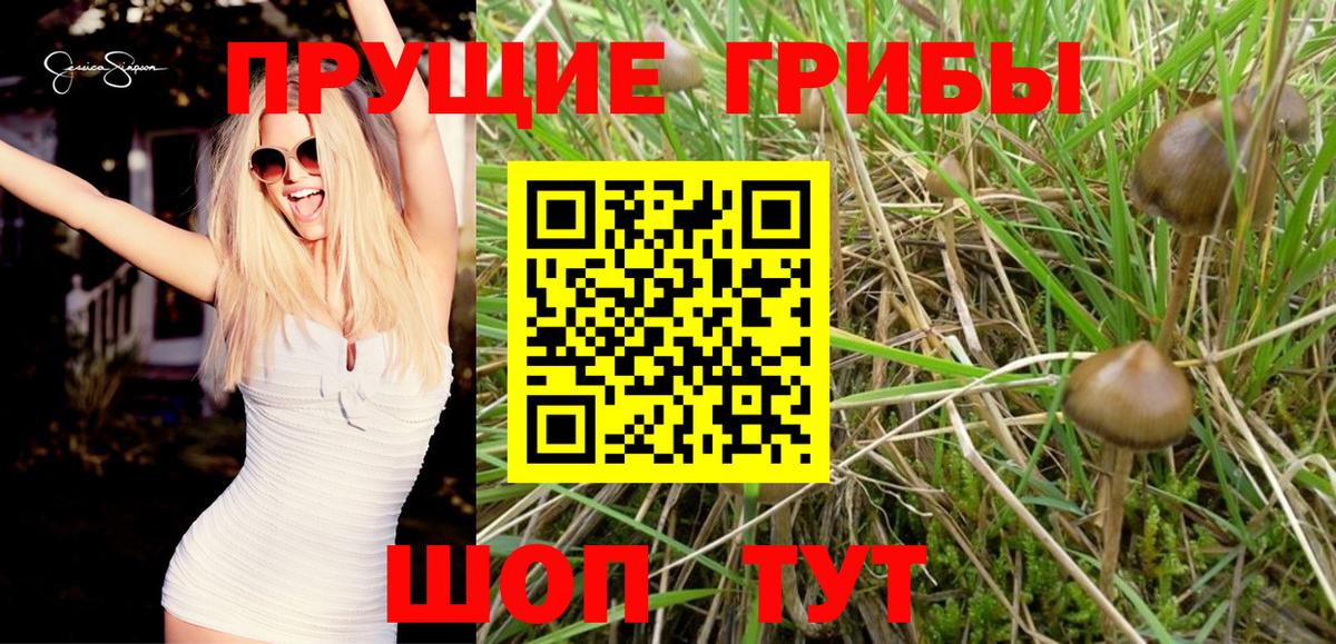 Псилоцибиновые грибы GOLDEN TEACHER  Галлюциногенные грибы MAGIC MUSHROOMS  Нижневартовск  наркота  Вход с VPN 